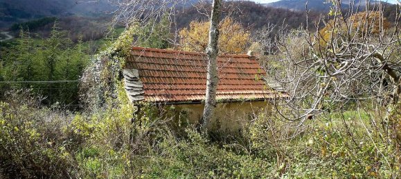 5 bedrooms Apartment in Caprese Michelangelo, Italy No. 362 6