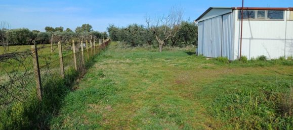 Grundstück in Lanuvio, Italy 4990m², Nr. 40523 2