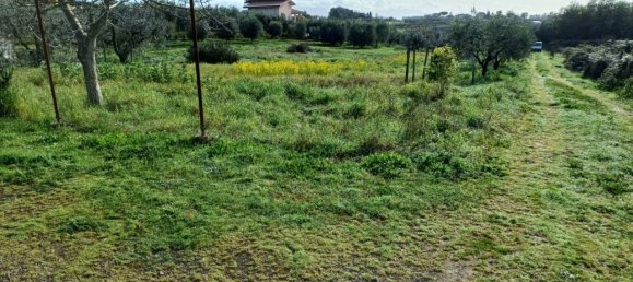 Grundstück in Lanuvio, Italy 4990m², Nr. 40523 5