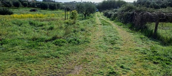 Grundstück in Lanuvio, Italy 4990m², Nr. 40523 6