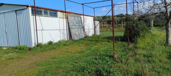 Grundstück in Lanuvio, Italy 4990m², Nr. 40523 7