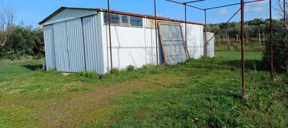 Grundstück in Lanuvio, Italy 4990m², Nr. 40523 8