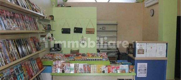 1-Zimmer Gewerbliche Immobilie in Albenga, Italy, Nr. 330006 6