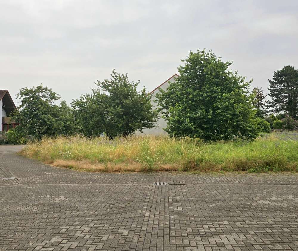 520m² Land in Karlsruhe, Germany No. 82755