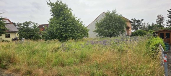 520m² Land in Karlsruhe, Germany No. 82755 4