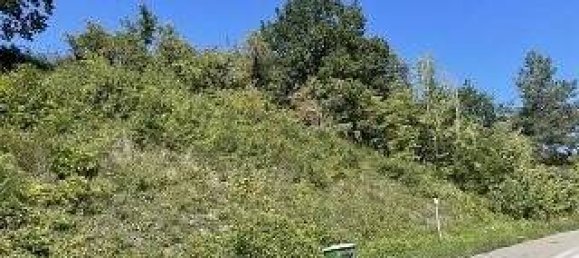  Land in Kusel, Germany No. 153115 3