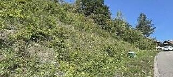  Land in Kusel, Germany No. 153115 2