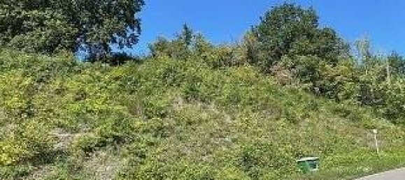  Land in Kusel, Germany No. 153115 4