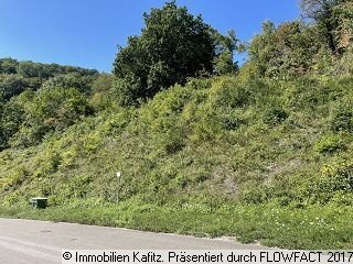  Land in Kusel, Germany No. 153115