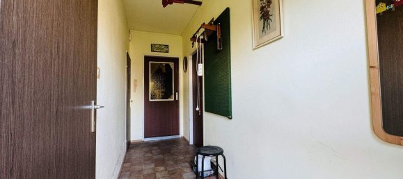 Land in Ganserndorf, Austria No. 166007 15