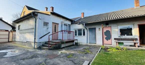 Land in Ganserndorf, Austria No. 166007 23