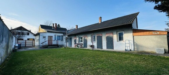 Land in Ganserndorf, Austria No. 166007 6