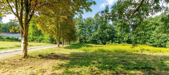 قطعة أرض في Paderborn, Germany 7082متر مربع رقم 364051 3