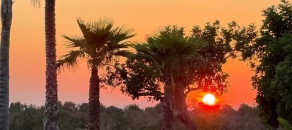 3 bedrooms Castles in Palma de Majorca, Spain No. 266398 2