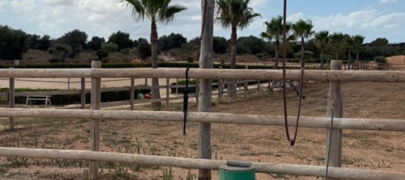 3 bedrooms Castles in Palma de Majorca, Spain No. 266398 21