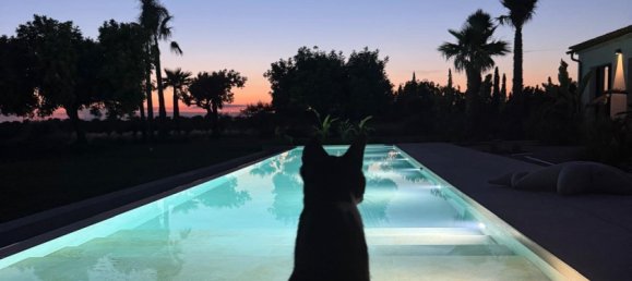 3 bedrooms Castles in Palma de Majorca, Spain No. 266398 7