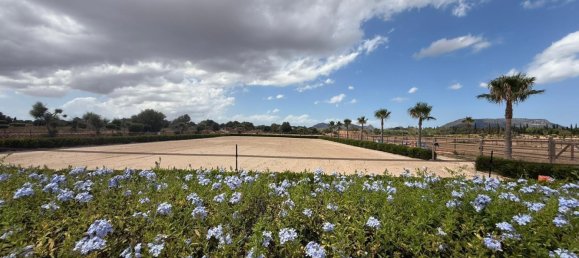 3 bedrooms Castles in Palma de Majorca, Spain No. 266398 19