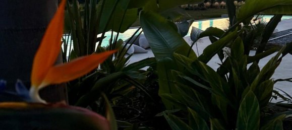 3 bedrooms Castles in Palma de Majorca, Spain No. 266398 6