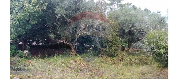 Casa T2 em Ansião, Portugal N.º 26401 8