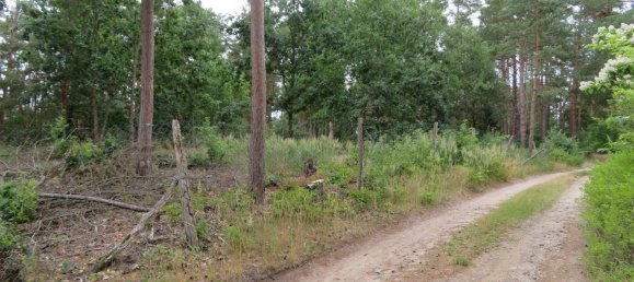 Terreno en Brandenburg, Germany No. 51491 4