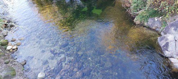 1 Schlafzimmer Haus in Ponte da Barca, Portugal, Nr. 28631 16