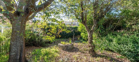 7 Schlafzimmer Villa in Oeiras, Portugal, Nr. 100427 33