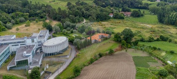 6 bedrooms House in Geraz do Minho, Portugal No. 164692 39