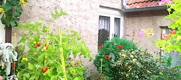 4 Schlafzimmer Haus in Oberhavel, Germany, Nr. 35686 8