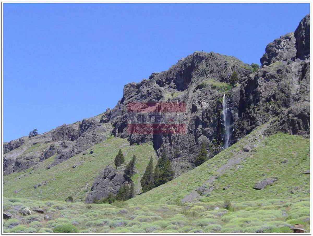 5 Schlafzimmer Haus in Neuquen, Argentina, Nr. 17252