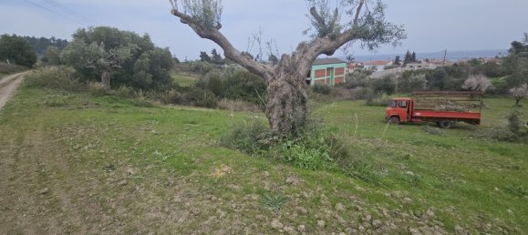 Hotel in Chalkidiki, Greece 1666m², Nr. 53530 3
