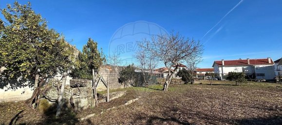 5 bedrooms House in Oliveira do Hospital, Portugal No. 160172 50