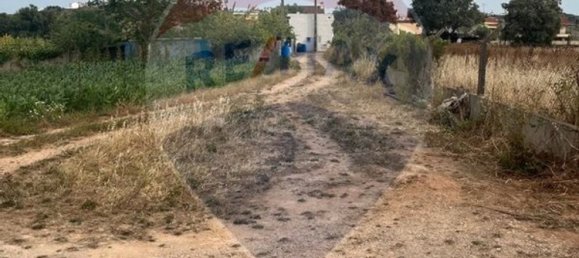 Земельный участок 2534м² в Виалонга, Португалия № 64674 6