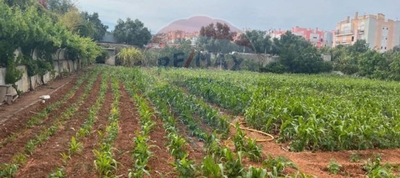 Земельный участок 2534м² в Виалонга, Португалия № 64674 5