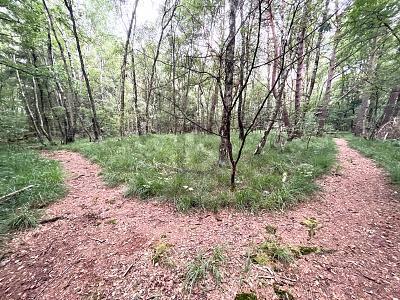 5634m² Land in Pinneberg, Germany No. 230394