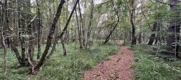 5634m² Land in Pinneberg, Germany No. 230394 4