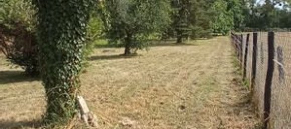 Дом с 2 спальнями в Массе, Франция № 91609 3