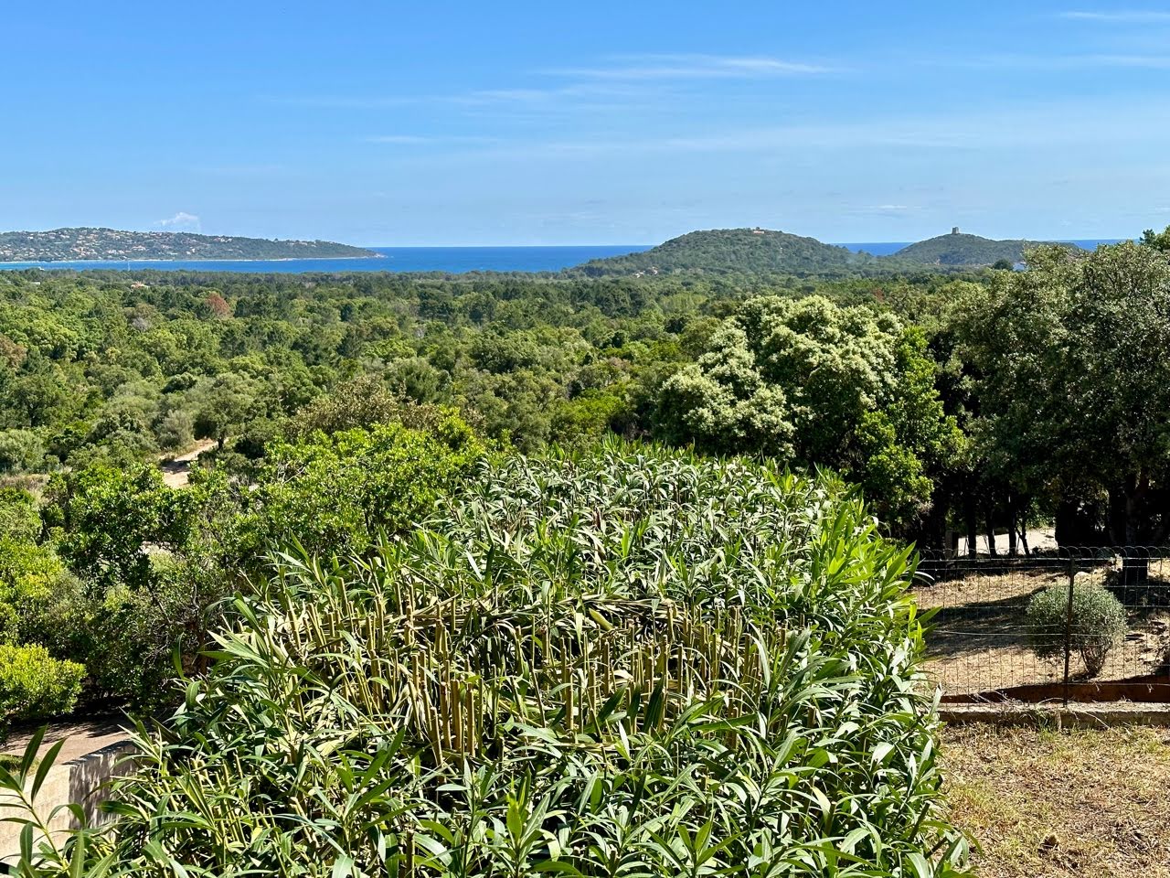 5 bedrooms House in Porto-Vecchio, France No. 80859