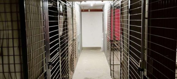 1 bedroom Apartment in Nordsachsen, Germany No. 210142 12