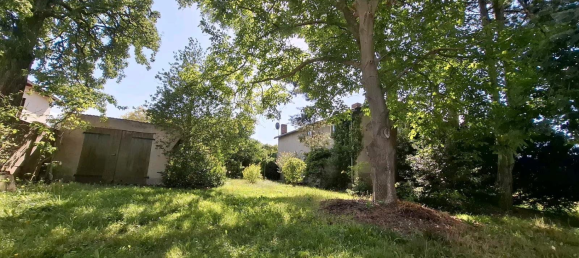  Land in Rostock, Germany No. 316514 6