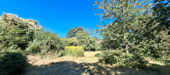  Land in Rostock, Germany No. 316514 18