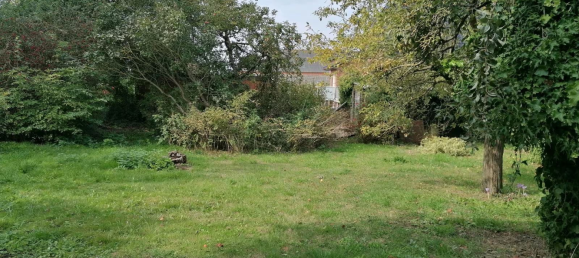  Land in Rostock, Germany No. 316514 7