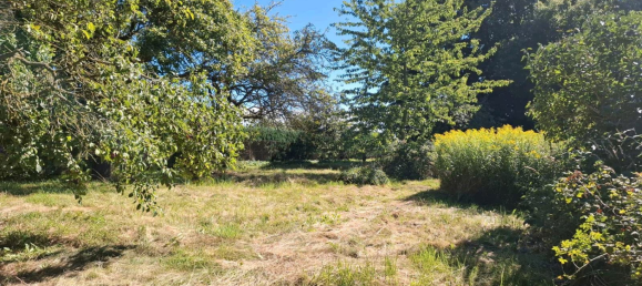  Land in Rostock, Germany No. 316514 16