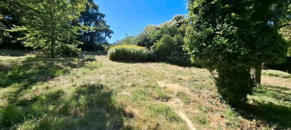  Land in Rostock, Germany No. 316514 17