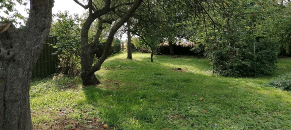  Land in Rostock, Germany No. 316514 4