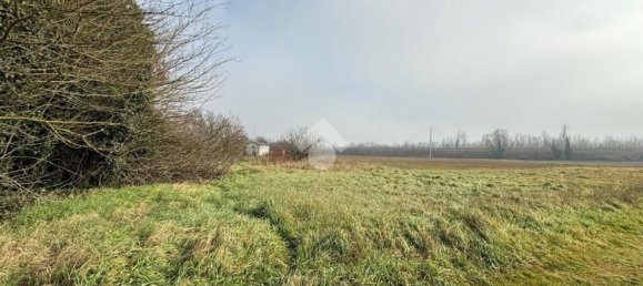 3-salle Maison à Ravenna, Italy No. 147392 6