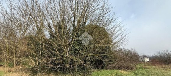 3-salle Maison à Ravenna, Italy No. 147392 7