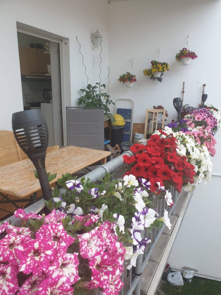 3-Zimmer Wohnung in Weimar, Germany, Nr. 219233