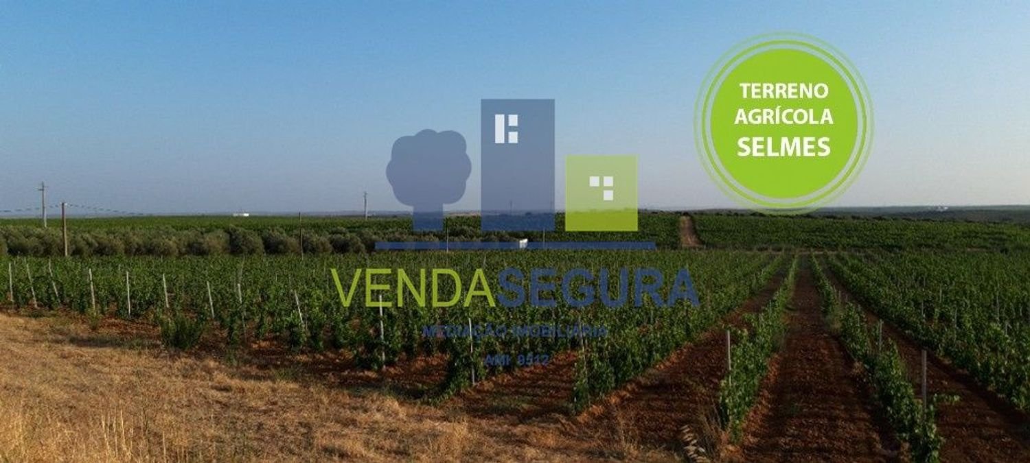 Terreno en Selmes, Portugal No. 223907