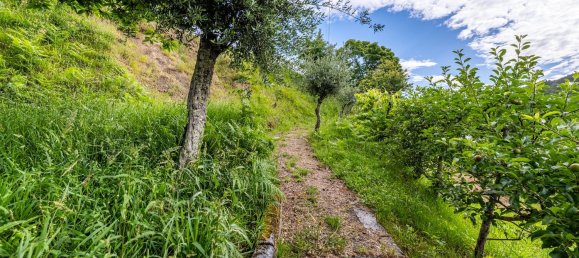 3 bedrooms House in Cabeceiras de Basto, Portugal No. 175594 29
