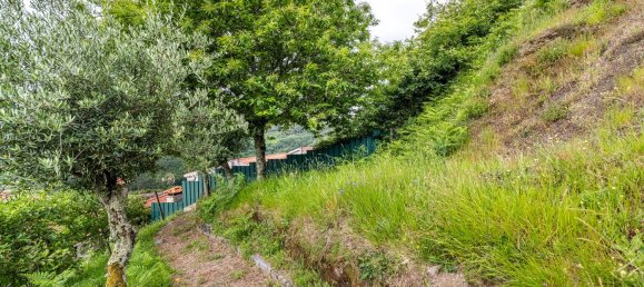 3 bedrooms House in Cabeceiras de Basto, Portugal No. 175594 30